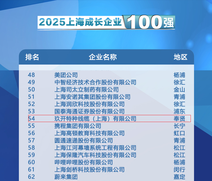 聚焦2025上海百强宣布会：环亚集团特种线缆登榜生长企业100强
